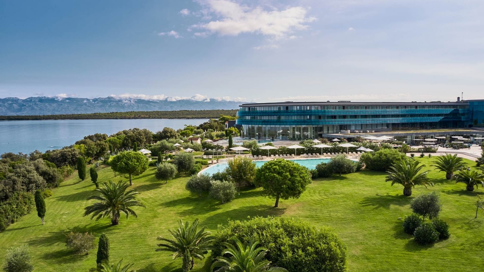 WhatsApp Image 2025 12 20 At 12.28.11 1